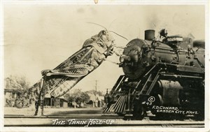 Image description is not available for PHO-4-W689-1300